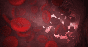 que enfermedades trata un hematologo